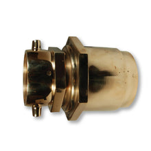 Spring Check Snoot Female Swivel Brass