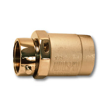 Clapper Snoot Female Swivel Brass