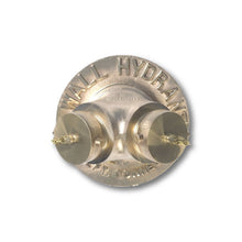 FDC Double Outlet Male Connection Wall Hydrant Brass