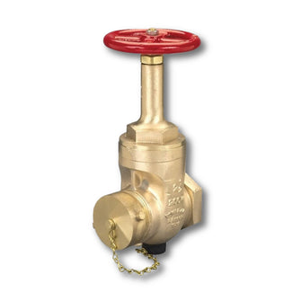 2-1/2" Female x Male Rising Stem Wedge Disc Gate Valve Brass